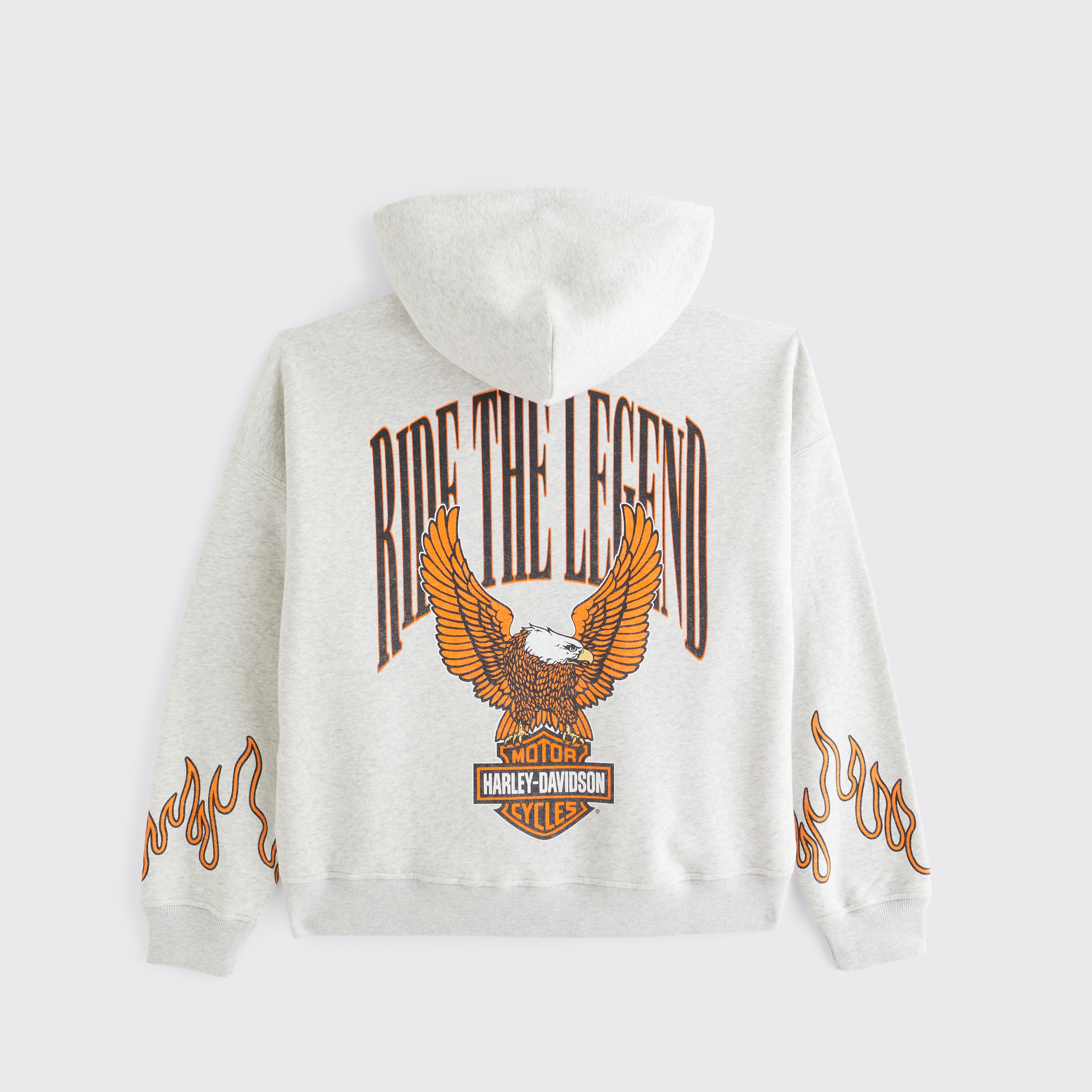 Мужское худи Abercrombie & Fitch Harley-Davidson Full-Zip, цвет: Меланжевый серый — фото 1