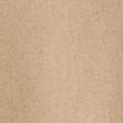 fawn