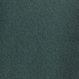 dark spruce