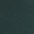 dark spruce