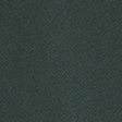 dark spruce