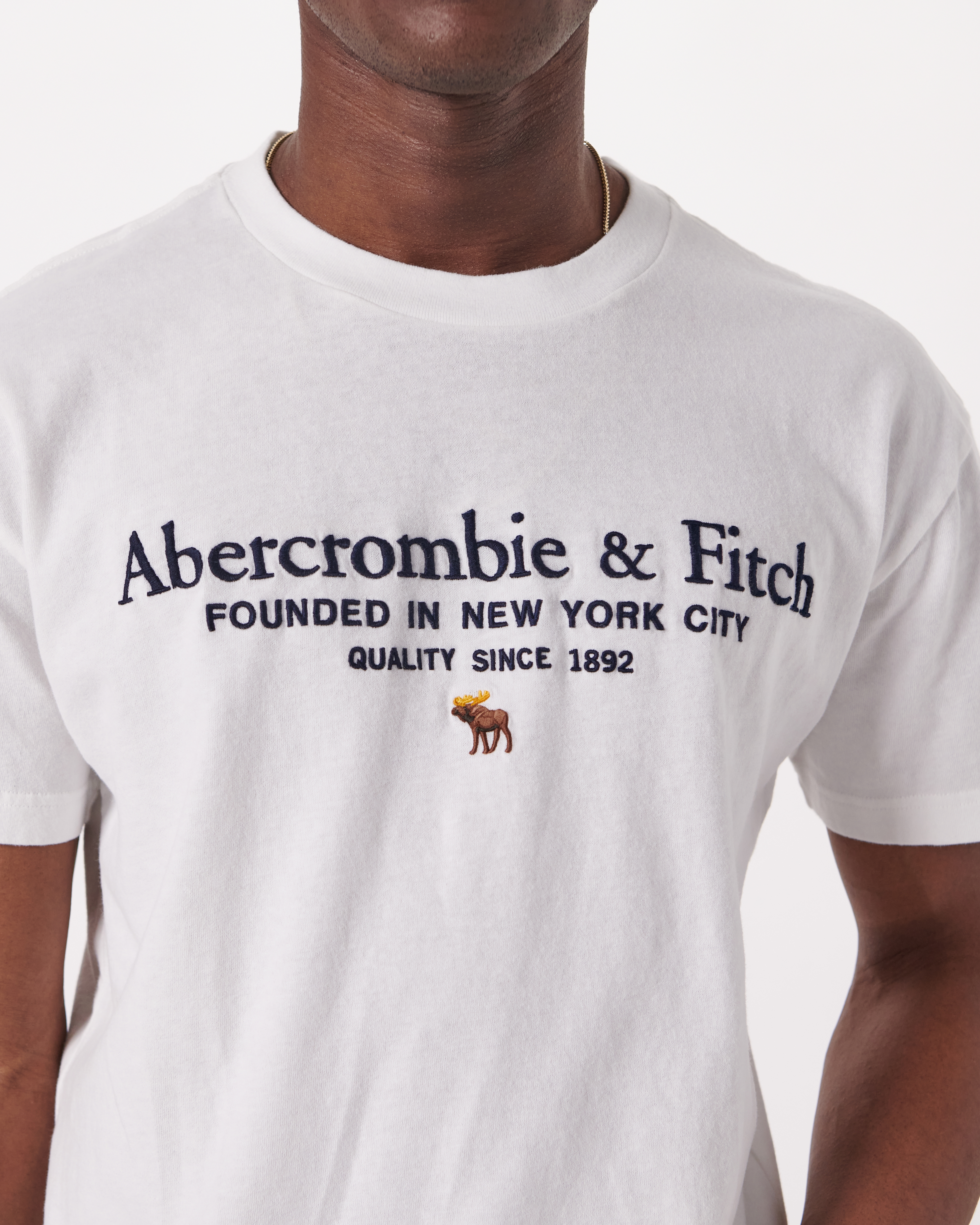 Abercrombie &Fitch TシャツS - トップス