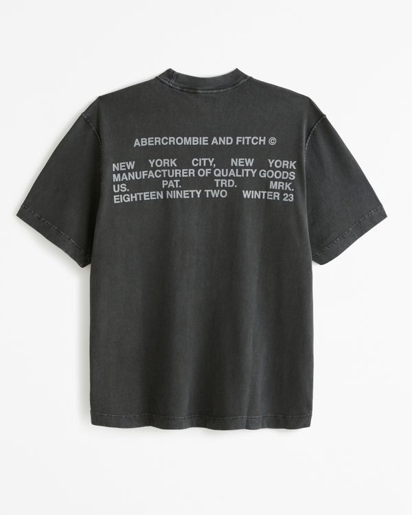 Abercrombie & Fitch Small-Scale Back Logo T-Shirt in Heather Gray