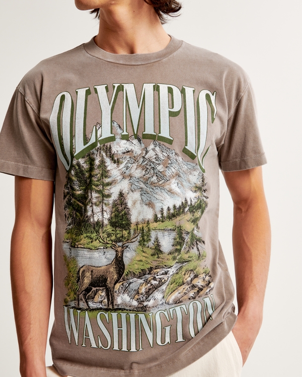 Olympic Peninsula Graphic Tee, Light Brown Texture