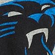 black - panthers