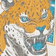 cream - jaguars