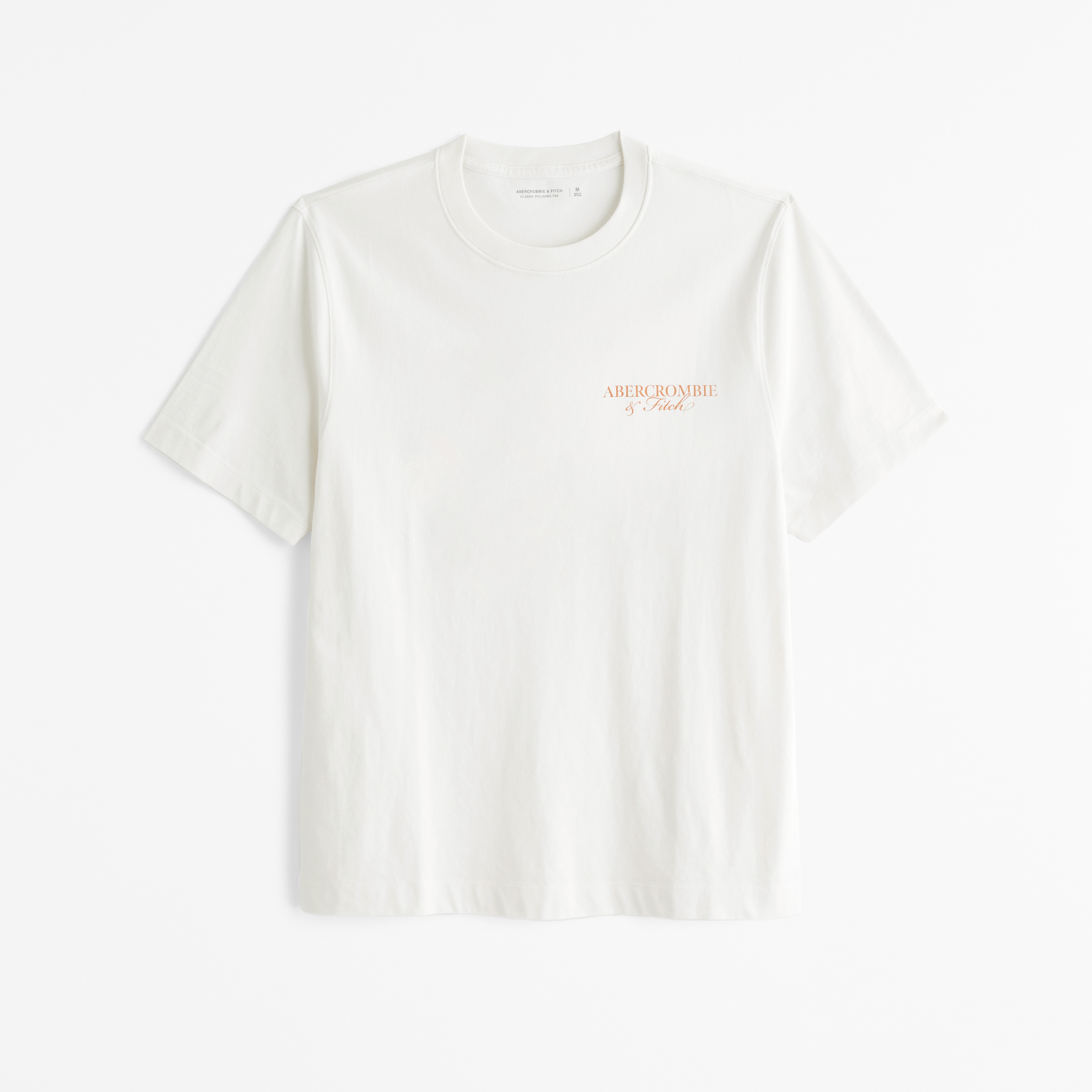 Abercrombie & Fitch クラシック ポリッシュ ロゴ Tシャツ メンズ クラシック ポリッシュ クロップド航海グラフィックT