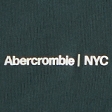 Premium Polished Micro-Logo Tee