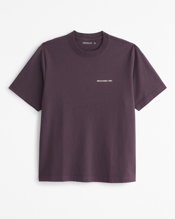 ☆Abercrombie & Fitch☆ プレミアムポリッシュ ロゴ Tシャツ メンズ プレミアム ポリッシュ マイクロロゴTシャツ | メンズ