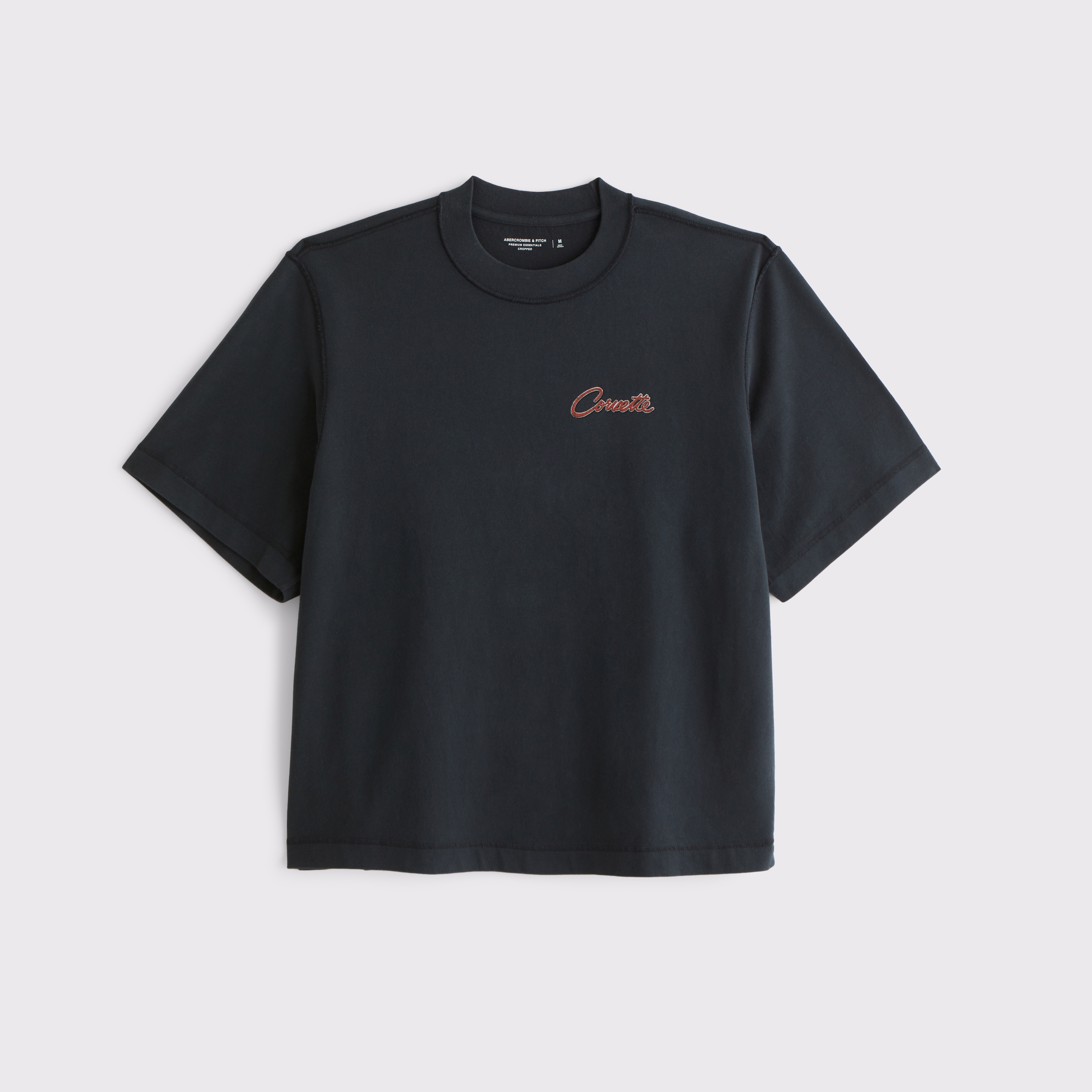 Abercrombie & Fitch◆クロップド グラフィック Tシャツ Black Men's PGA Tour Championship Graphic Tee | Men's Tops