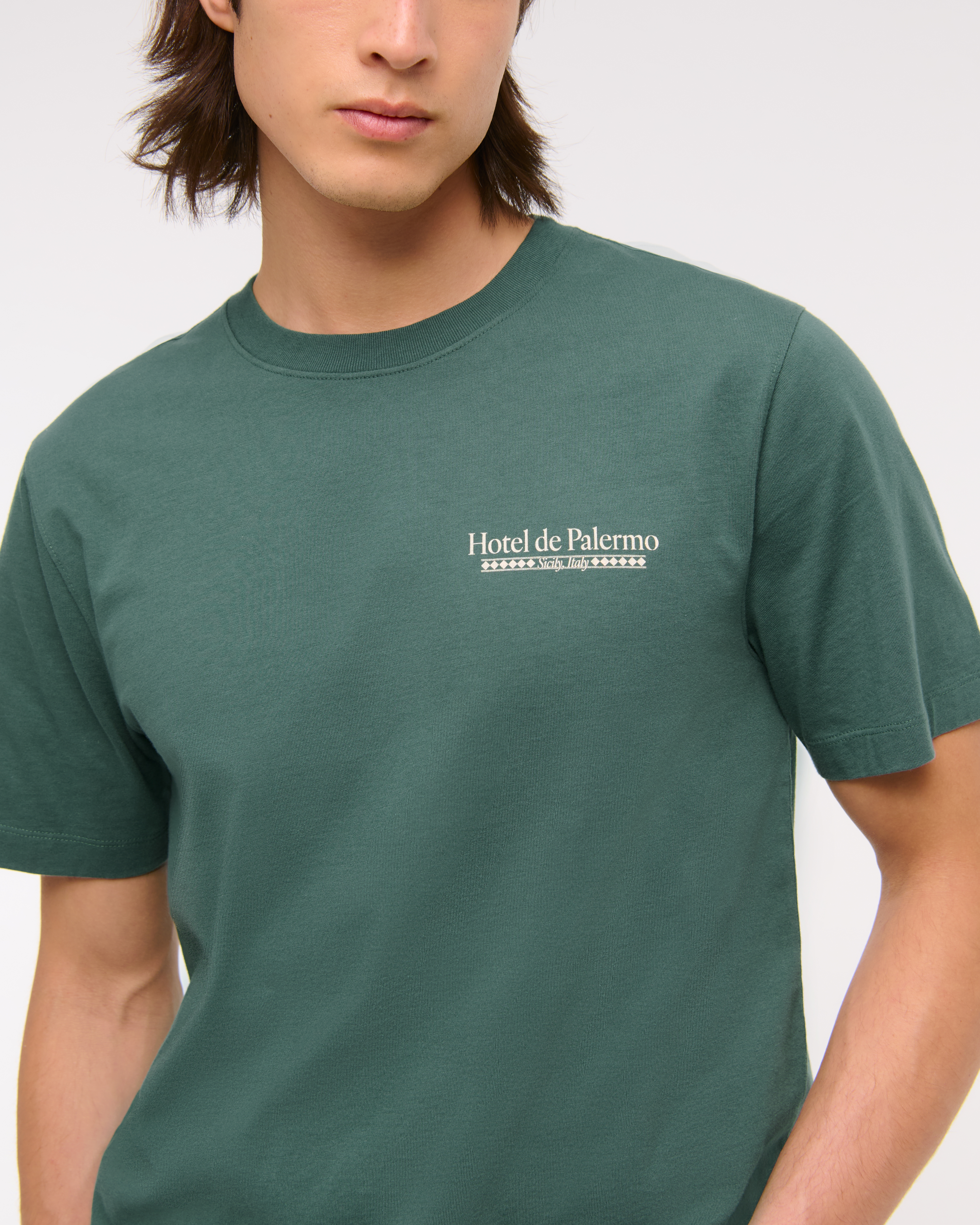 Abercrombie & Fitch クラシック ポリッシュ ロゴ Tシャツ メンズ クラシック ポリッシュ クロップド航海グラフィックT