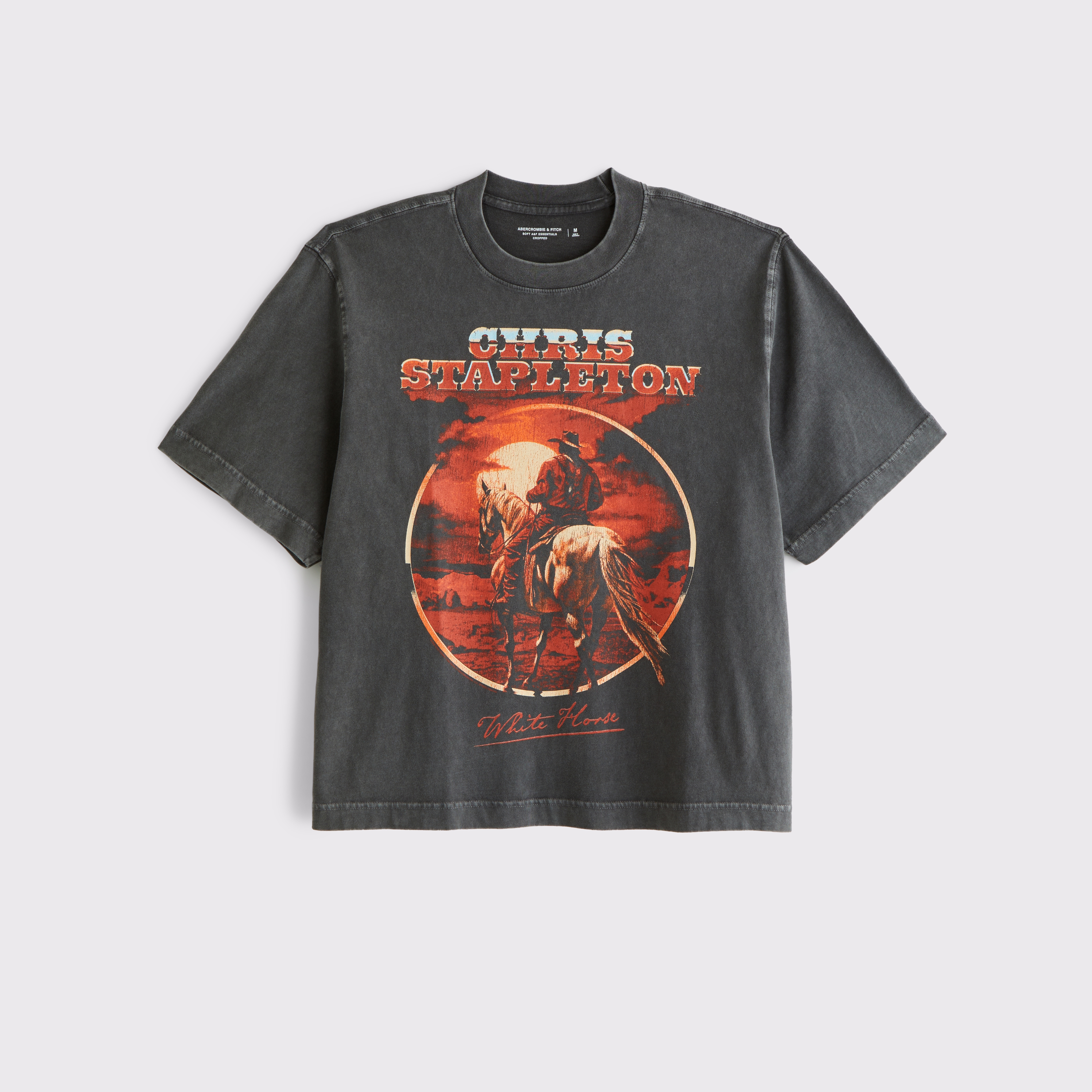 Men's Cropped Oasis Graphic Tee | Men's Clearance