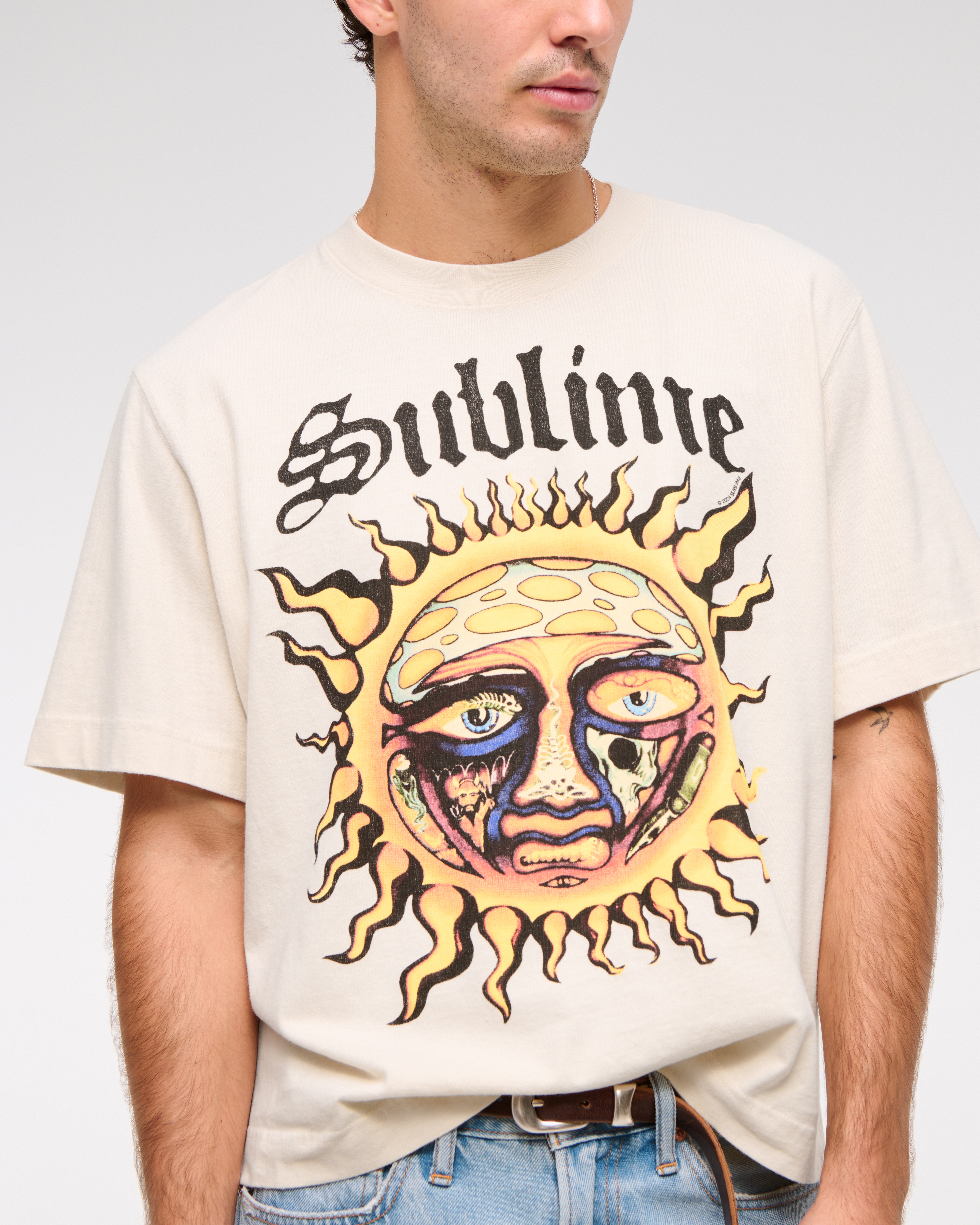 Sublime Graphic cheapest Cropped Band Tee M/L