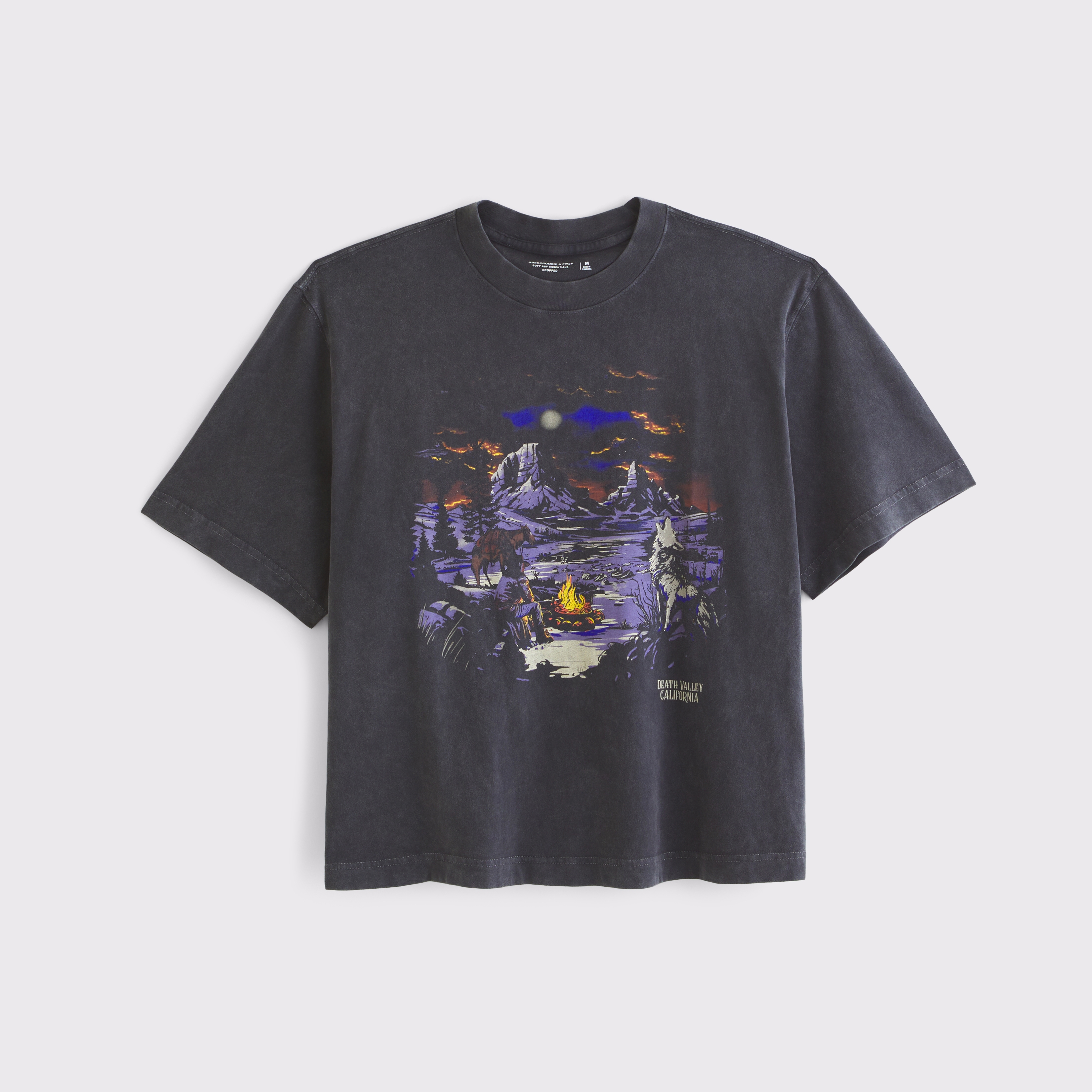 Abercrombie & Fitch◆クロップド グラフィック Tシャツ Black Men's Cropped Fletcher Graphic Tee | Men's Tops