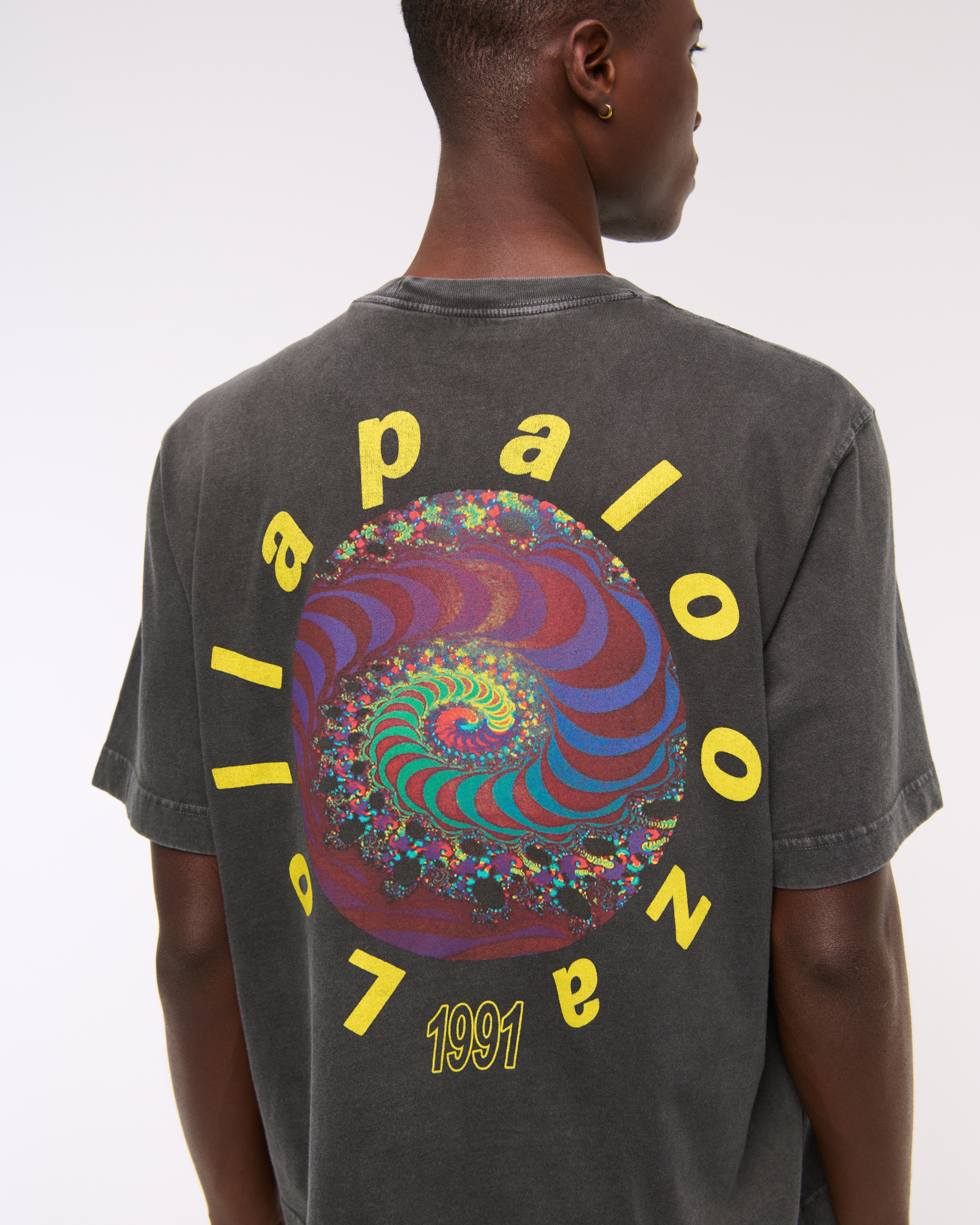 Tシャツ・カットソー Abercrombie & Fitch Lollapalooza Vintage-Inspired Graphic Men's Lollapalooza Vintage-Inspired Cropped Graphic Tee