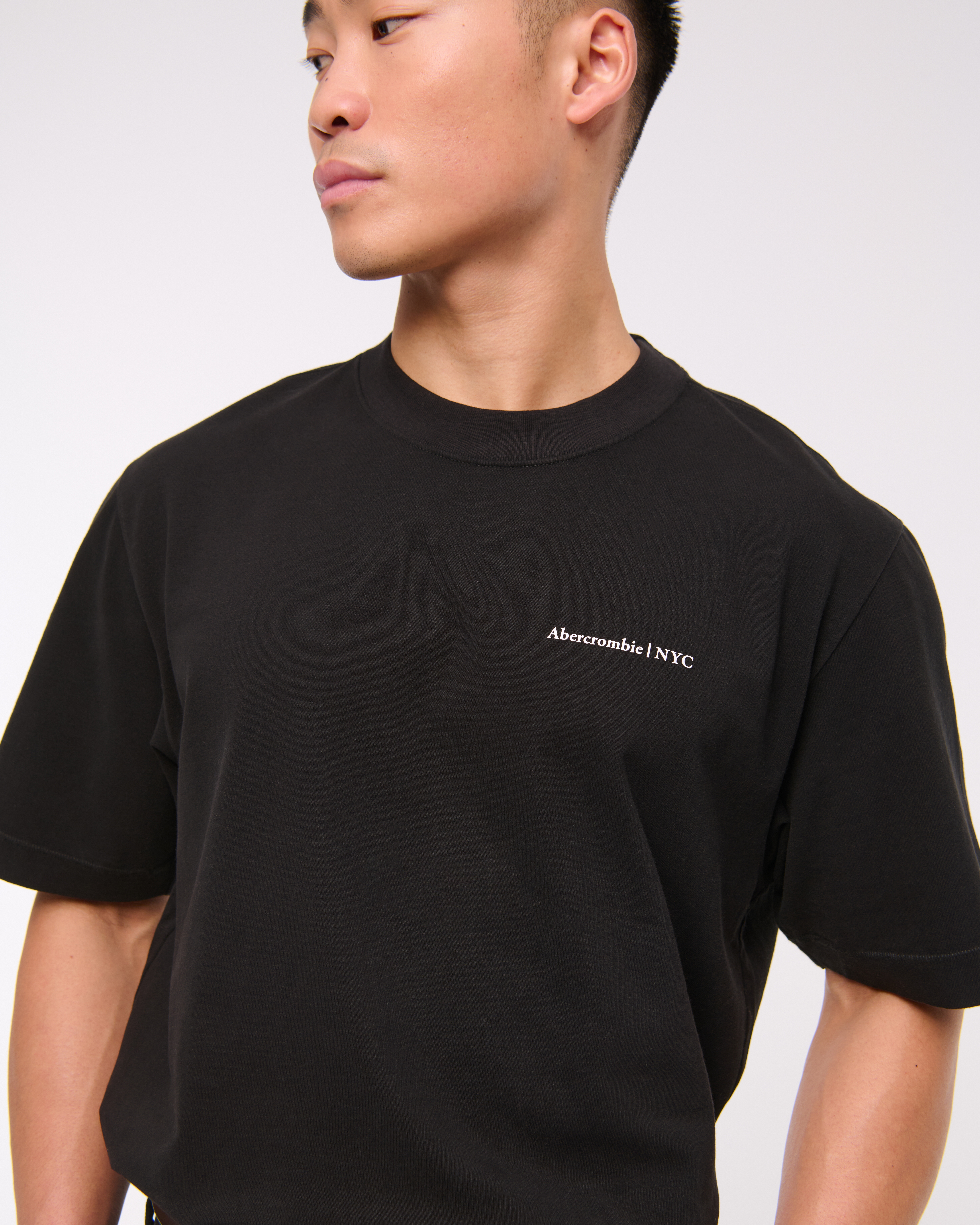 メンズ プレミアム ヘビーウェイト マイクロロゴTシャツ