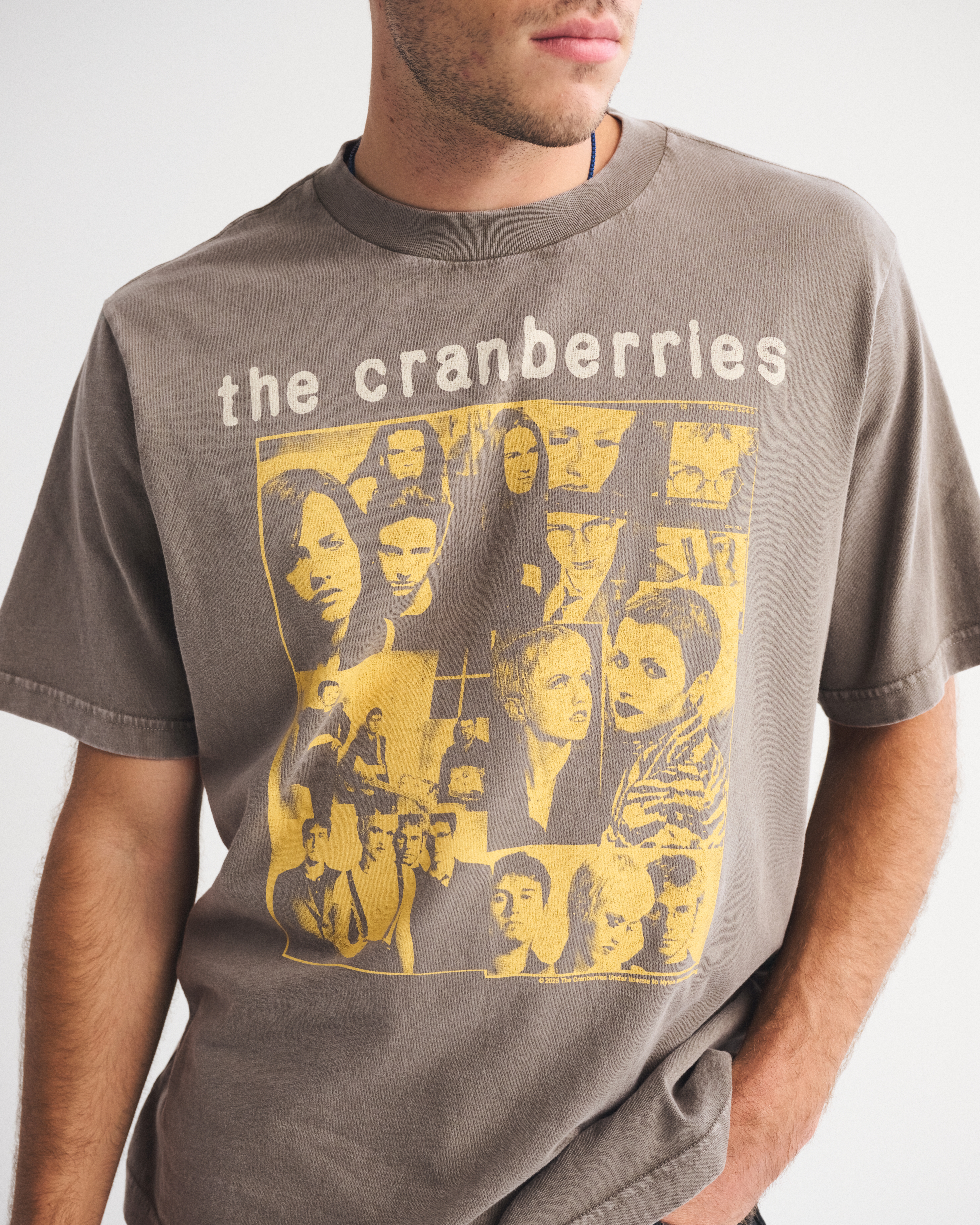 90s THE CRANBERRIES クランベリーズ vintage サイズL 最終値下】The Cranberries クランベリーズ 90s Tシャツ - メルカリ