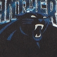 black - panthers