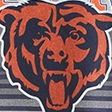 navy-bears