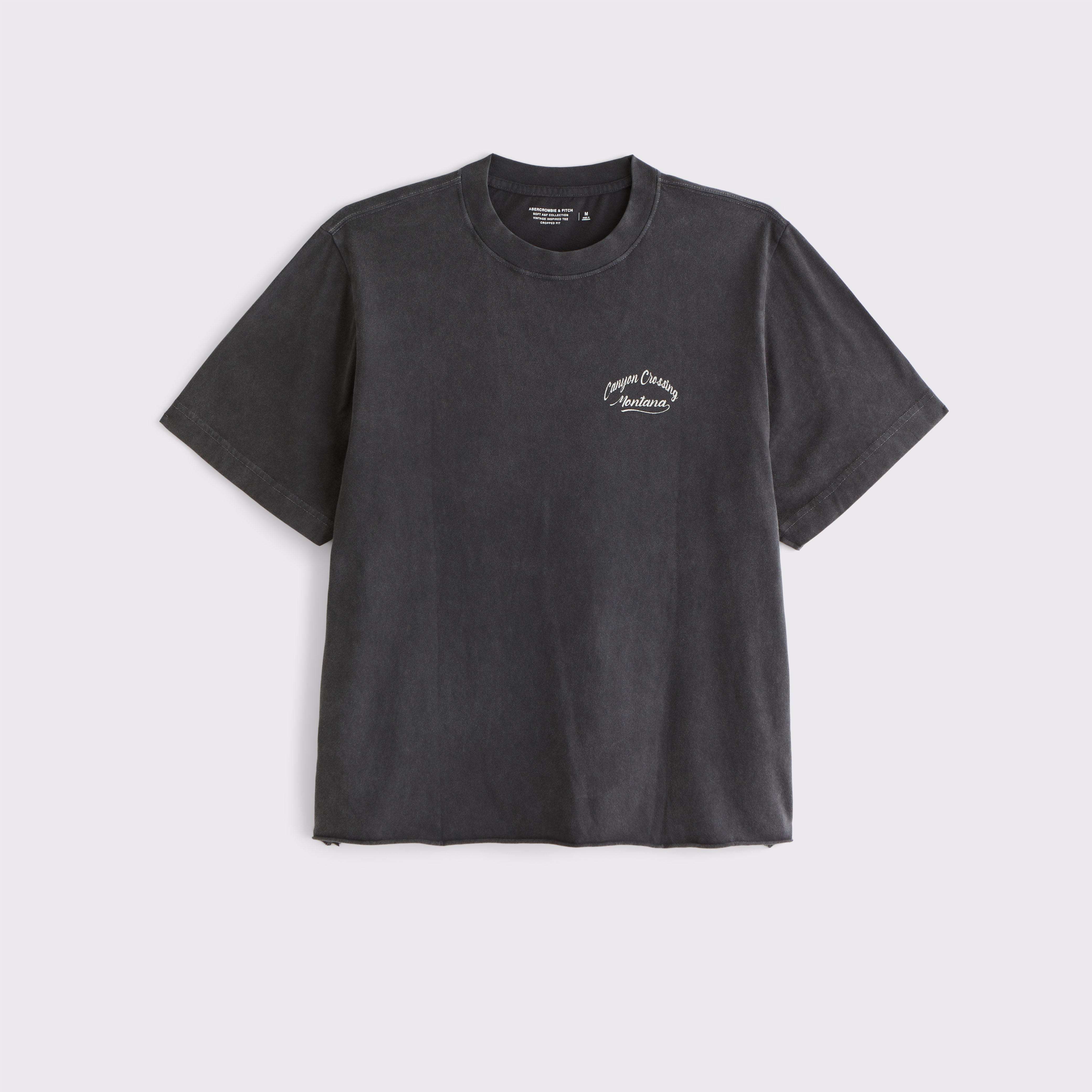 Tシャツ・カットソー Abercrombie & Fitch Oasis Vintage-Inspired Cropped Graphic Men's Oasis Vintage-Inspired Cropped Graphic Tee | Men's
