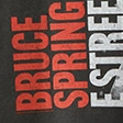 Premium Heavyweight 2.0 Bruce Springsteen Graphic Tee