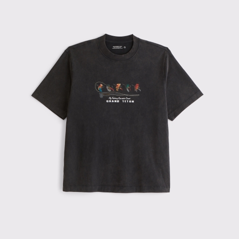 Мужские футболки Abercrombie & Fitch Premium Heavyweight 2.0 Lake Placid Graphic Tee