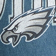 blue-green wash - eagles
