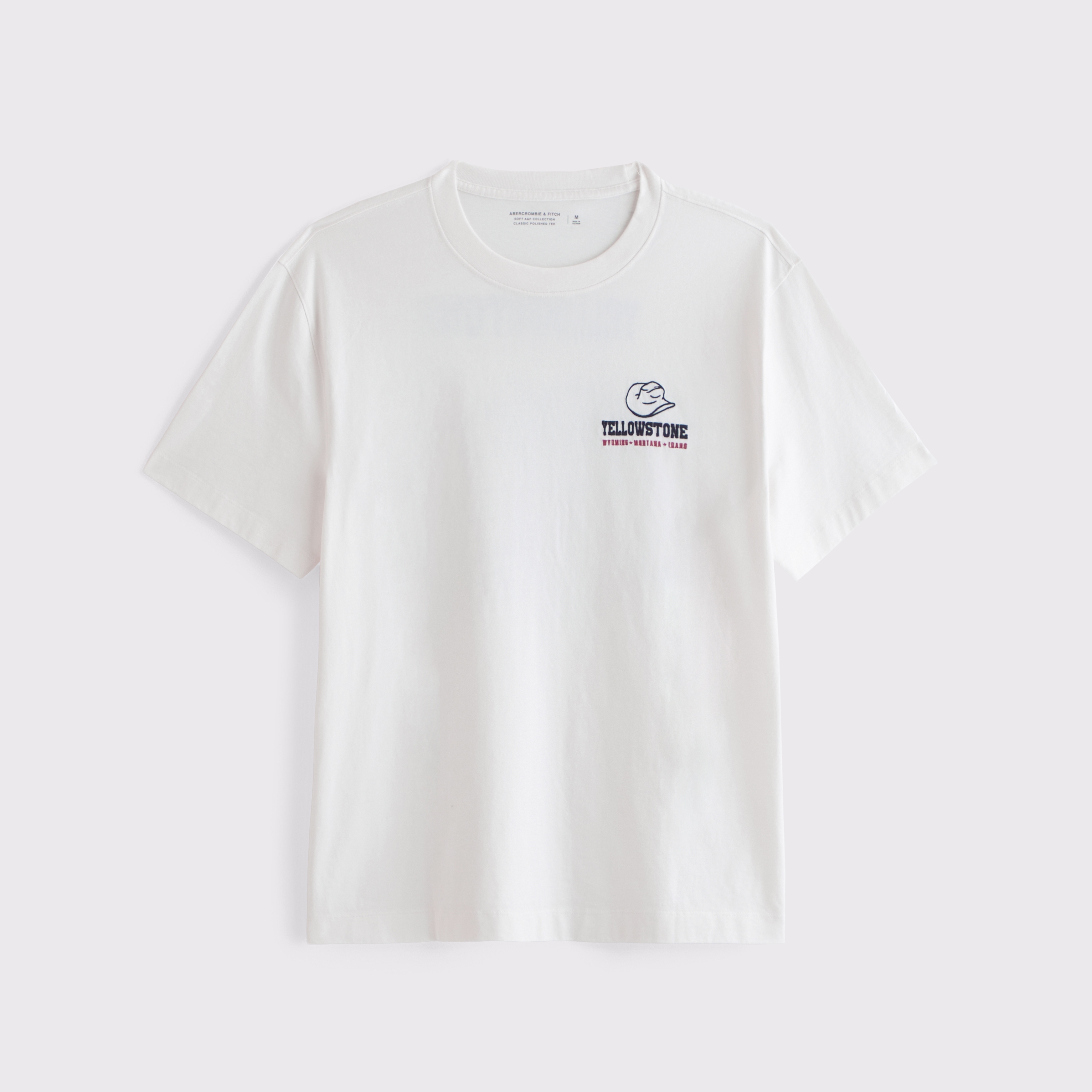 Abercrombie & Fitch Yellowstone Classic Polished Graphic Tee In White