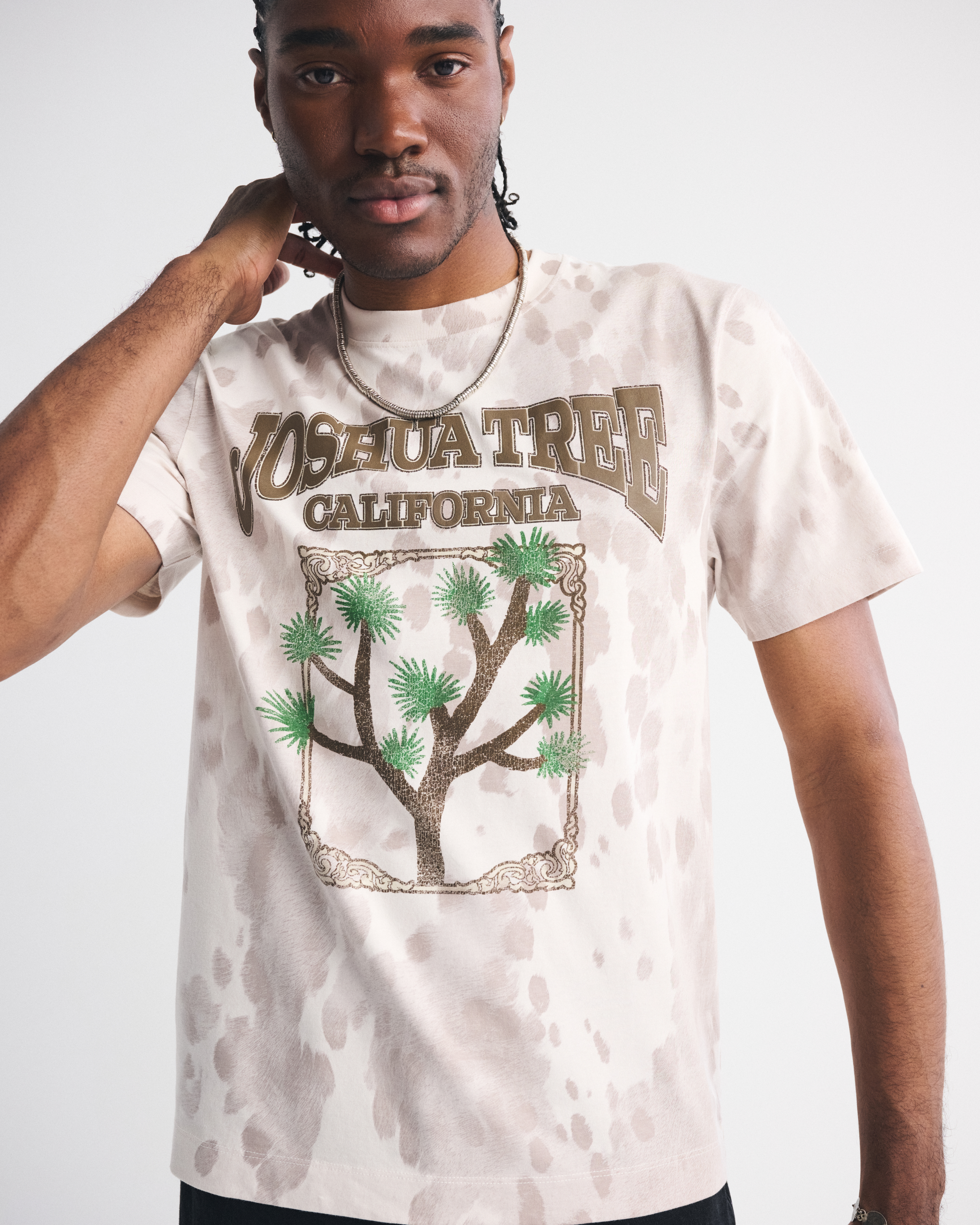 Мужские футболки Abercrombie & Fitch Joshua Tree Classic Polished Graphic Tee — фото 2