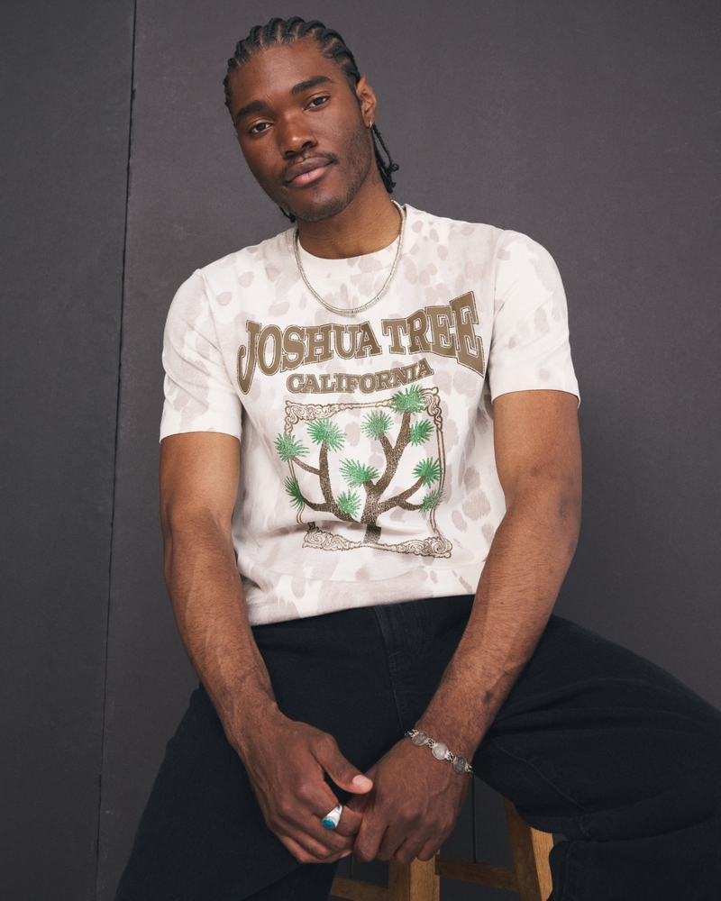 THE JOSHUA TREE グラフィックTシャツ ヴィンテージ Men's Joshua Tree Classic Polished Graphic Tee | Men's Clearance