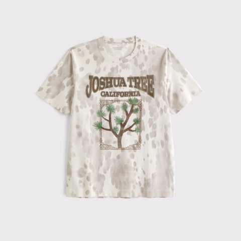Мужские футболки Abercrombie & Fitch Joshua Tree Classic Polished Graphic Tee