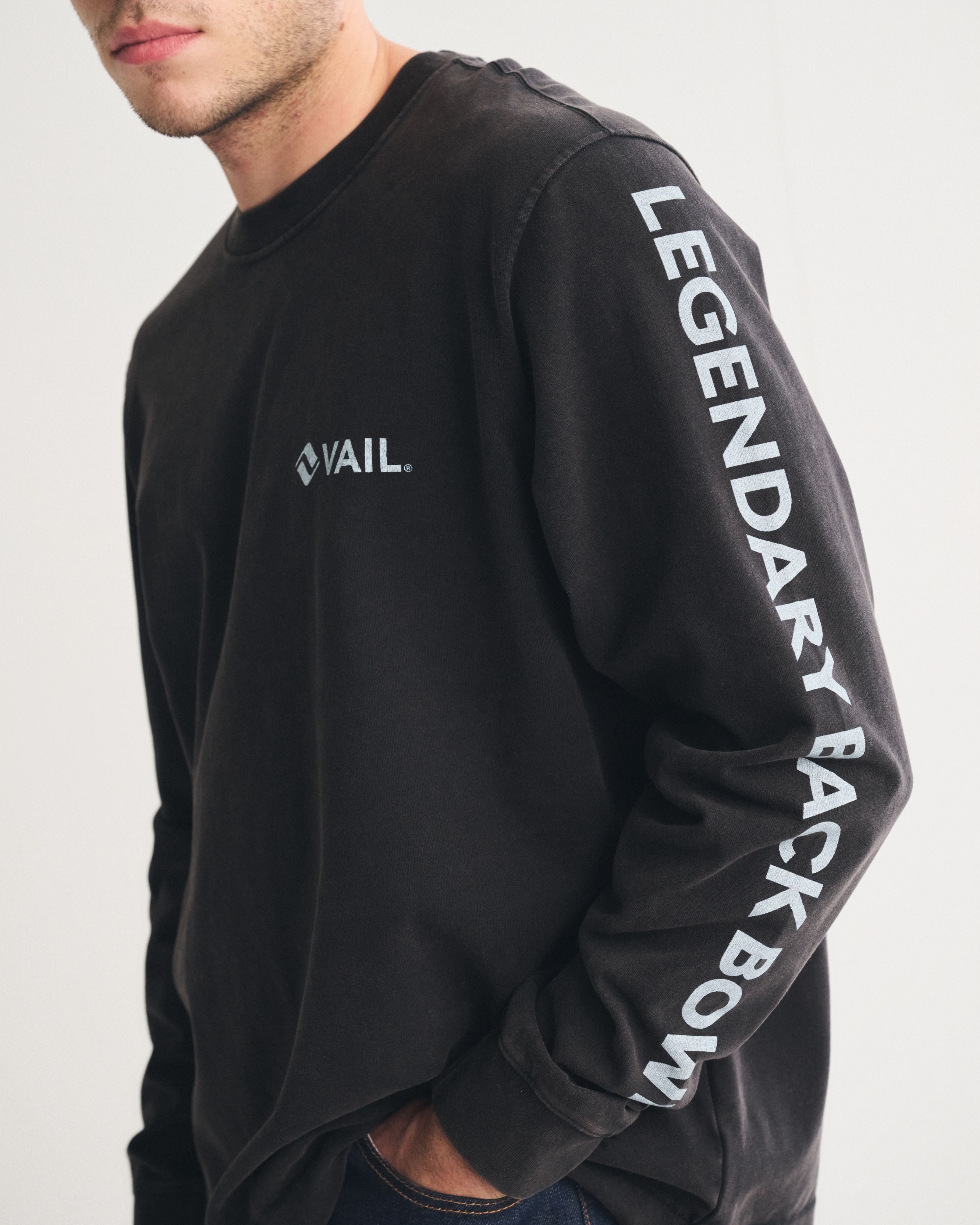 Мужские футболки Abercrombie & Fitch Long-Sleeve Premium Heavyweight 2.0 Park City Graphic Tee — фото 2