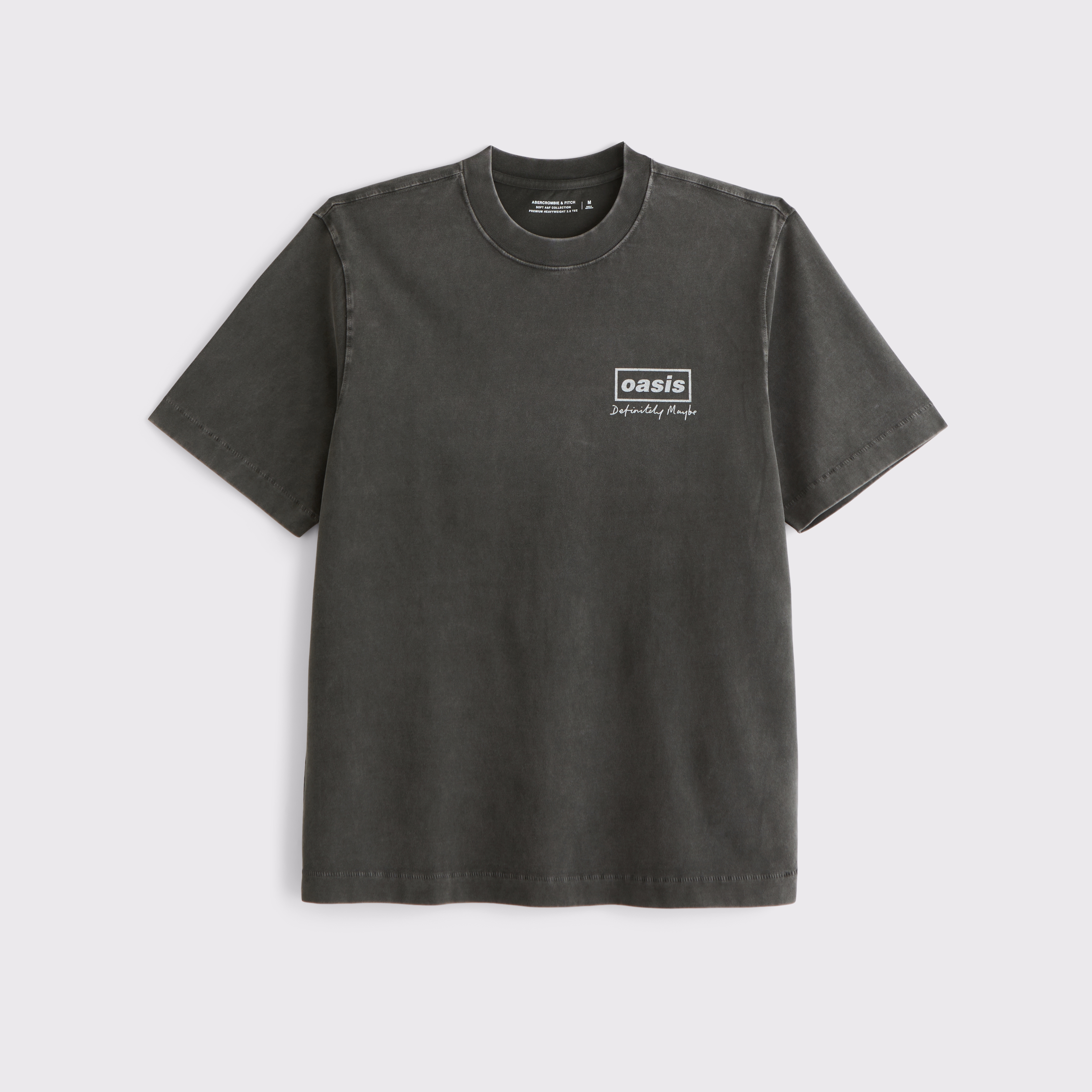 Men's Premium Heavyweight 2.0 Oasis Graphic Tee | Men's Tops
