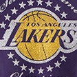 Boston Celtics Cropped Jersey