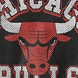 Boston Celtics Cropped Jersey