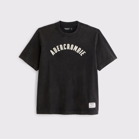 Мужские футболки Abercrombie & Fitch Premium Heavyweight 2.0 Logo Tee