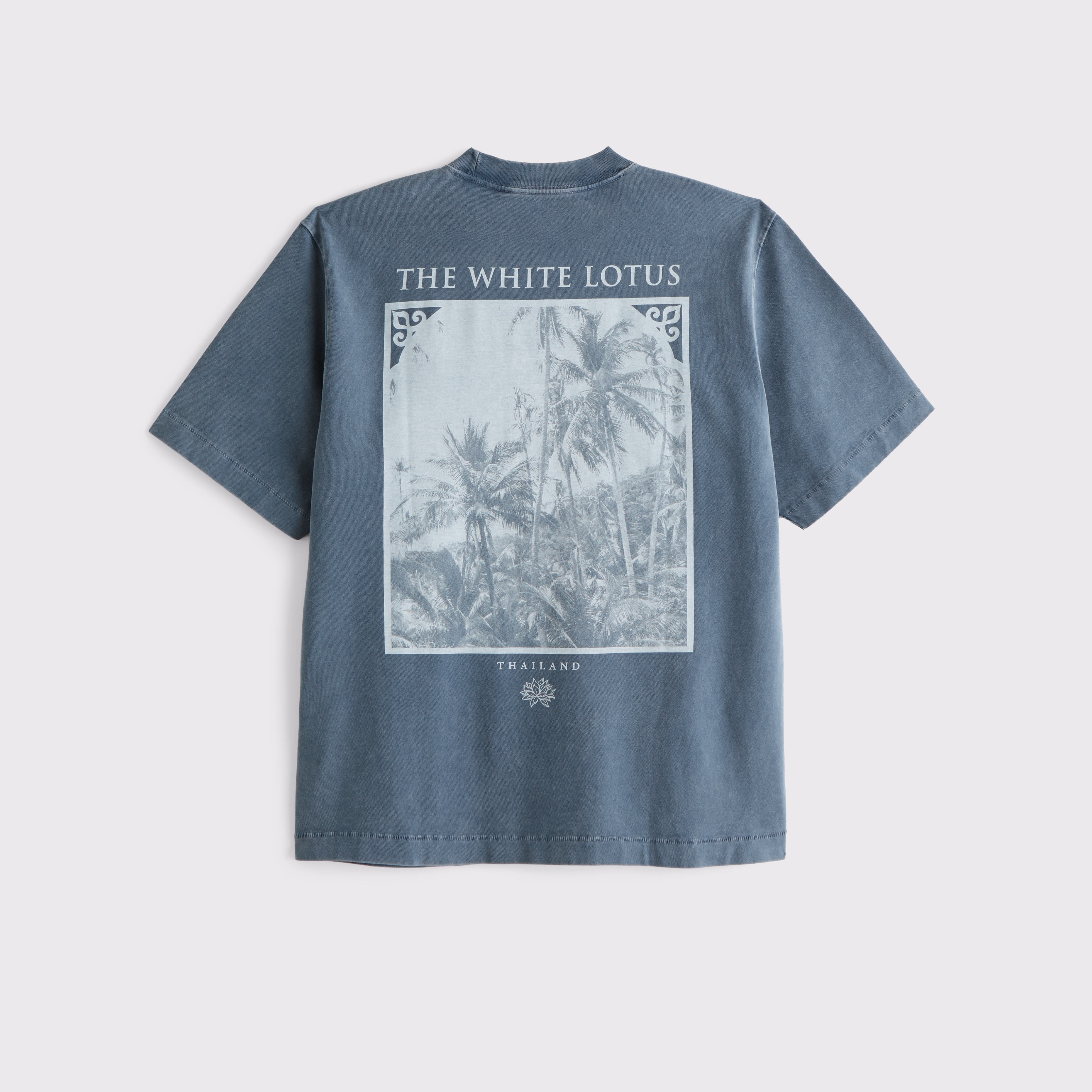 Abercrombie & Fitch Premium Heavyweight 2.0 The White Lotus Graphic Tee In Blue