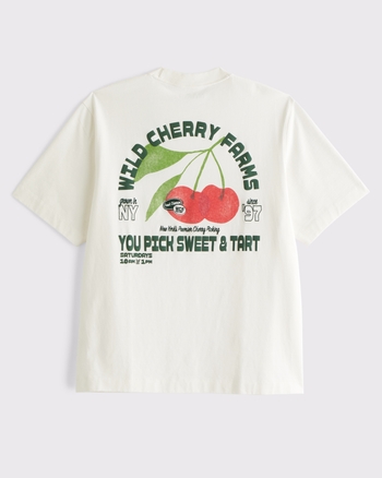 Premium Heavyweight 2.0 Graphic Tee from Abercrombie & Fitch - $45