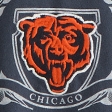 navy-bears