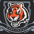 black-bengals