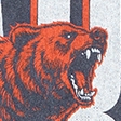 navy-bears