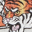 light gray-bengals