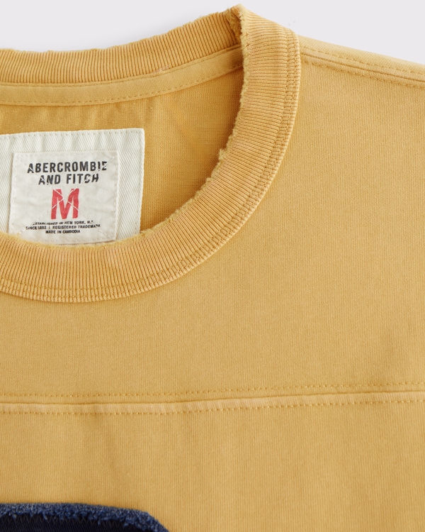 Men's Premium Heavyweight 2.0 Graphic Tee | Men's Tops