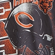 dark purple - bears