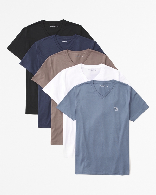 5-Pack Elevated Icon V-Neck Tees