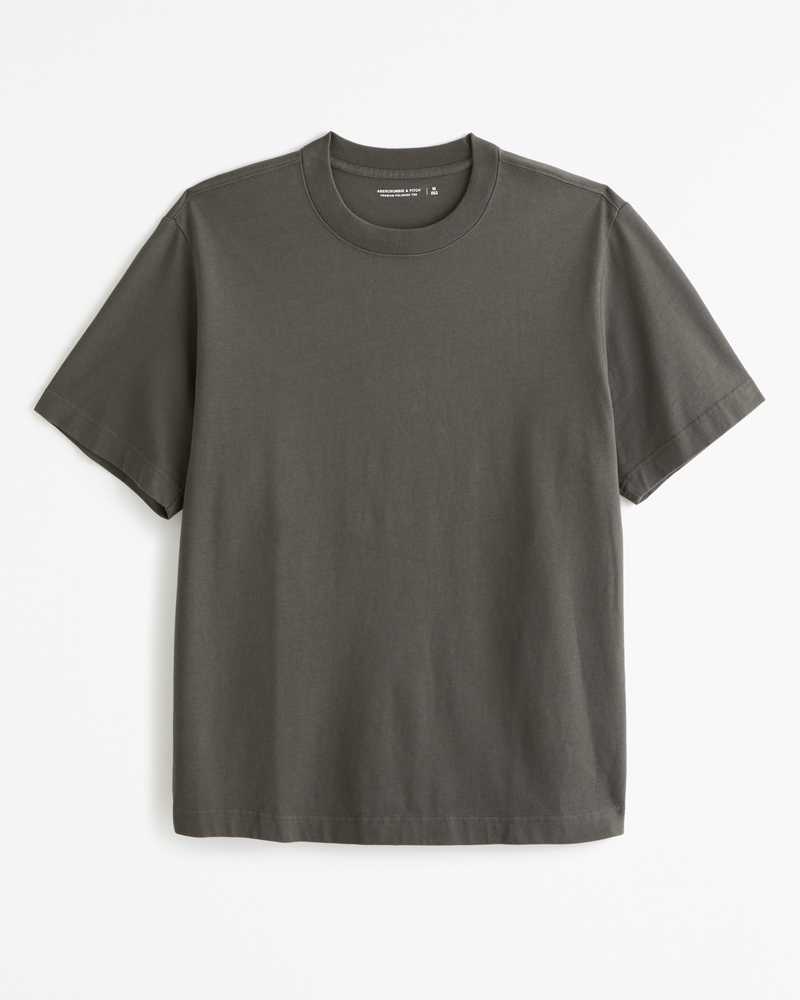 Men's Premium Polished Tee | Men's Clearance | Abercrombie.com