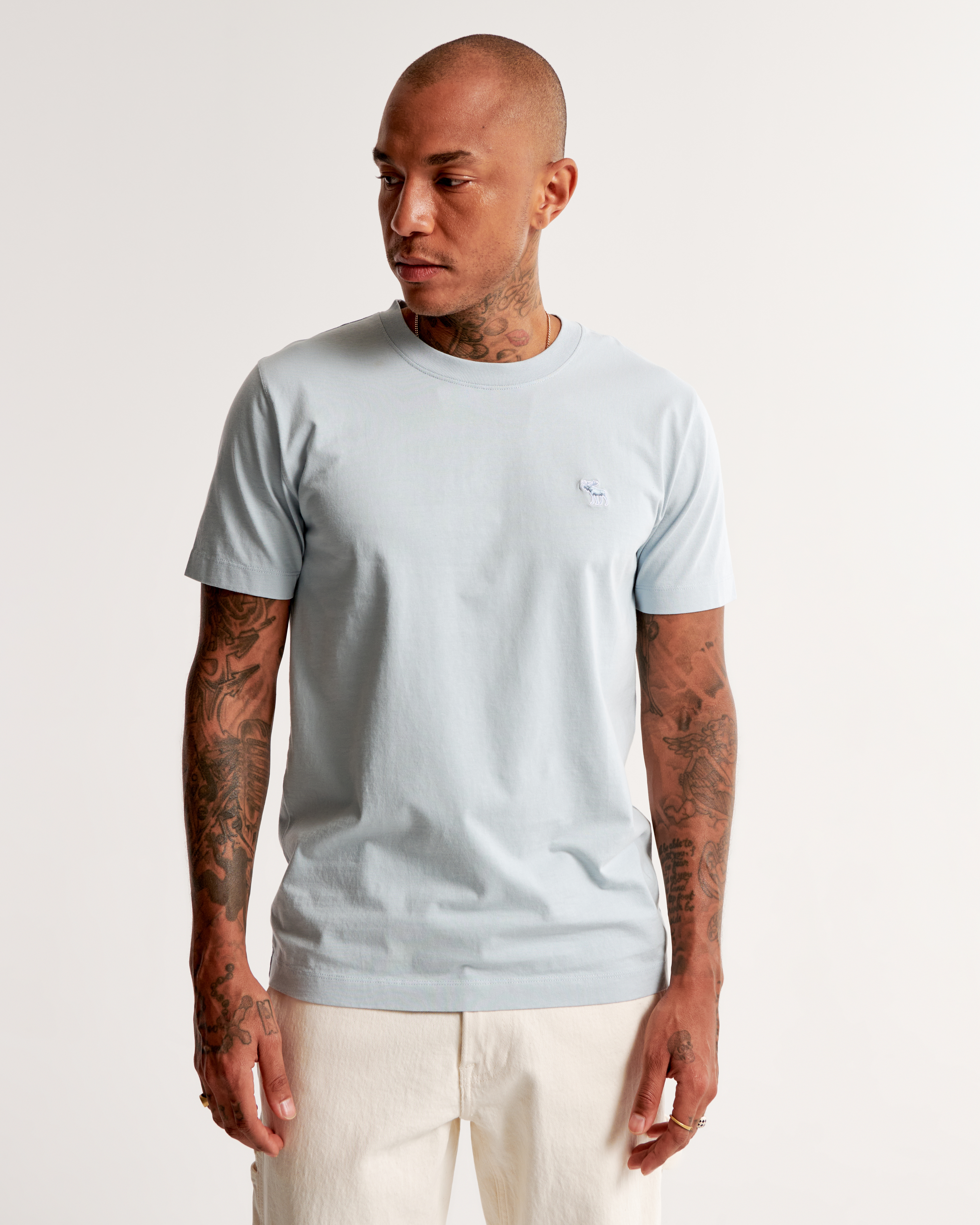 Abercrombie t shirt online heren