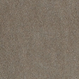 earthy olive