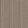 dusty olive