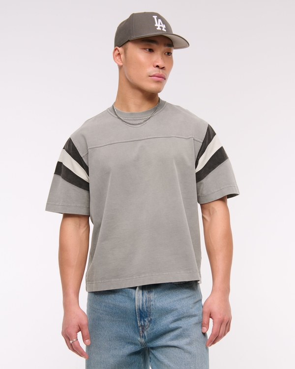 Premium Heavyweight Cropped Tee, Light Gray Stripe view 1